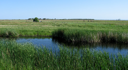Knösen söderut